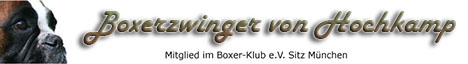 Banner Hochkamp